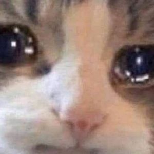 Meet your Posher, Layla